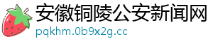 安徽铜陵公安新闻网